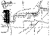 9mile2.gif (15621 bytes)