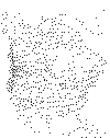 C_totem_28.gif (54538 bytes)