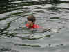 DSCN0366.jpg (544894 bytes)