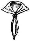 swn07b.jpg (13557 bytes)