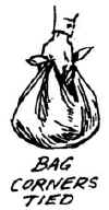 swn13a.jpg (10437 bytes)