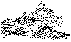 tbp161.gif (10146 bytes)