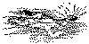 tbp169.gif (3175 bytes)
