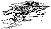 tbp170.gif (2986 bytes)