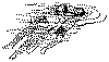 tbp171.gif (3437 bytes)