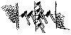 tbp239.gif (3835 bytes)
