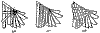 tbp336.gif (8755 bytes)